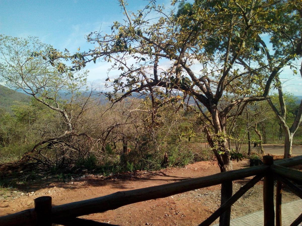 Hazyview Buffalo Game Lodge Bagian luar foto
