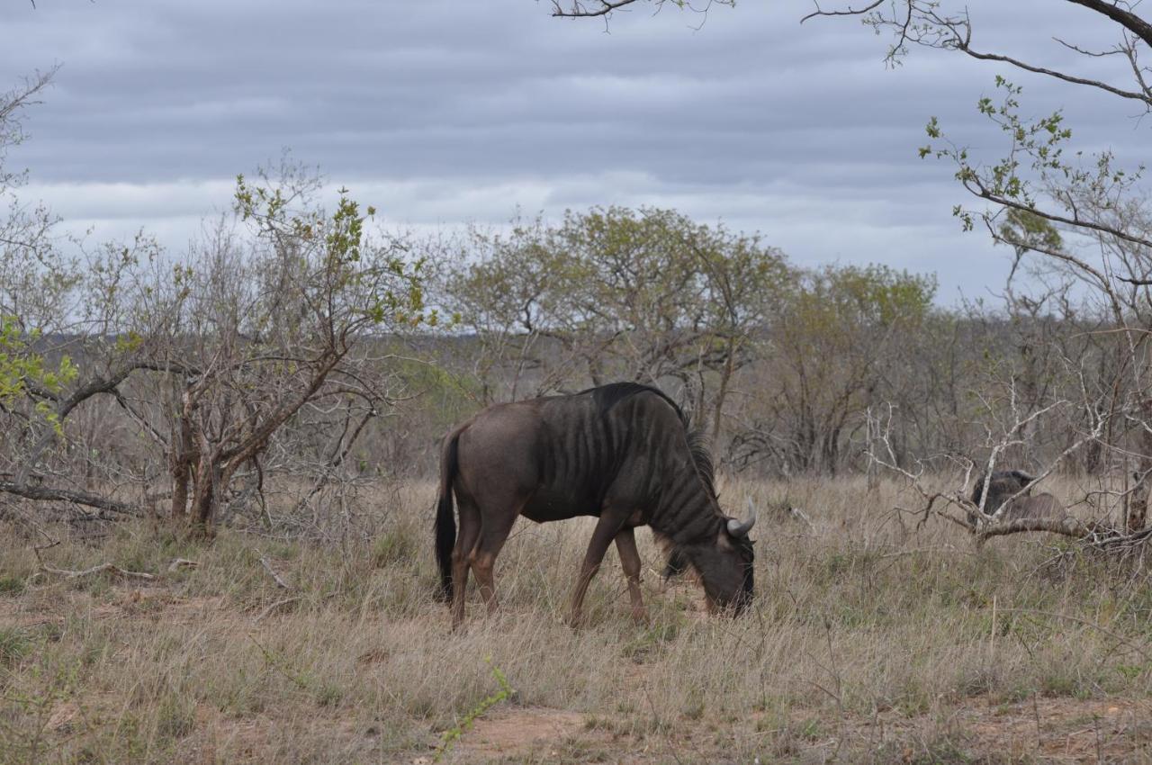 Hazyview Buffalo Game Lodge Bagian luar foto